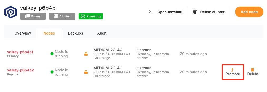 Screenshot 2025-07-01 at 8.18.42 PM copy.jpg